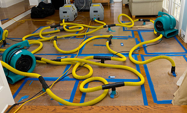 Professional Water Damage Restoration technician working in Norfolk, VA